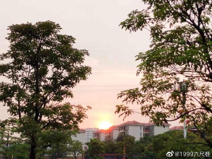 病树前头万木春1.jpg