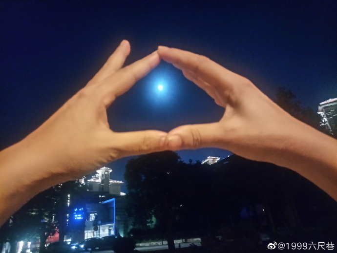 蝉鸣林愈静3.jpg