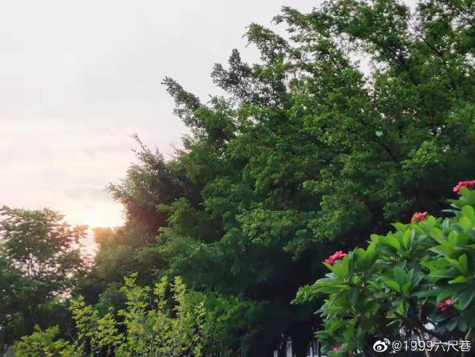 进仓第三天.jpg