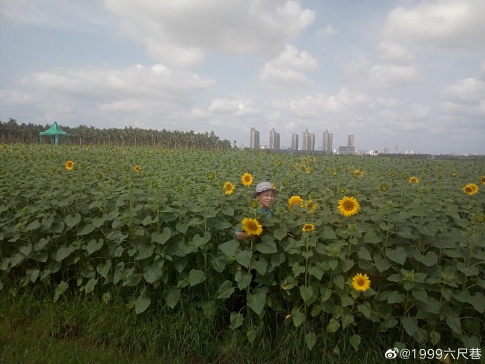 稳住就是成功3.jpg