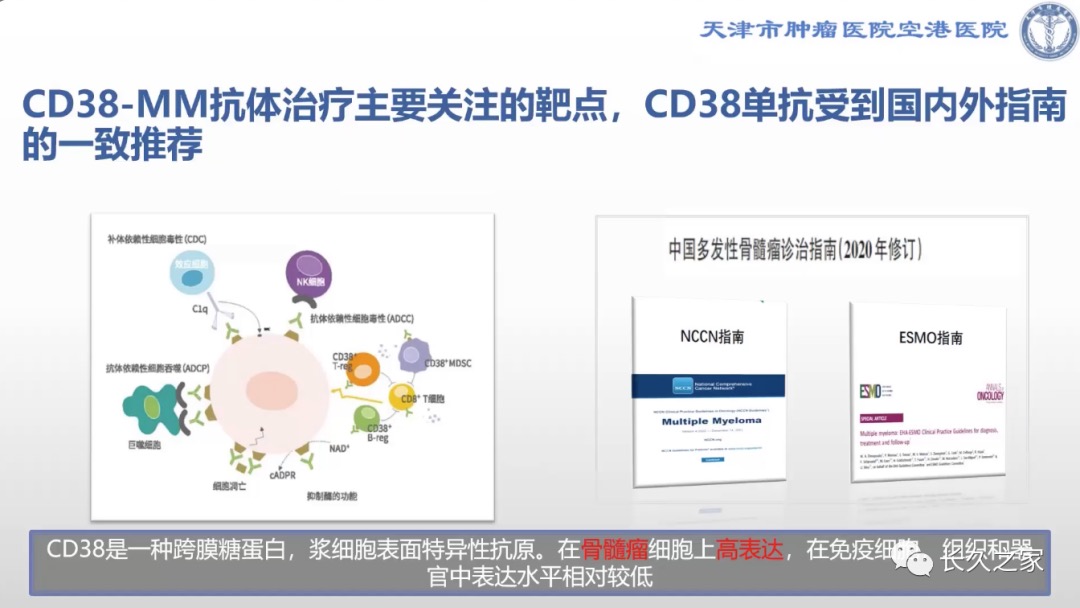 伊萨单抗1.png