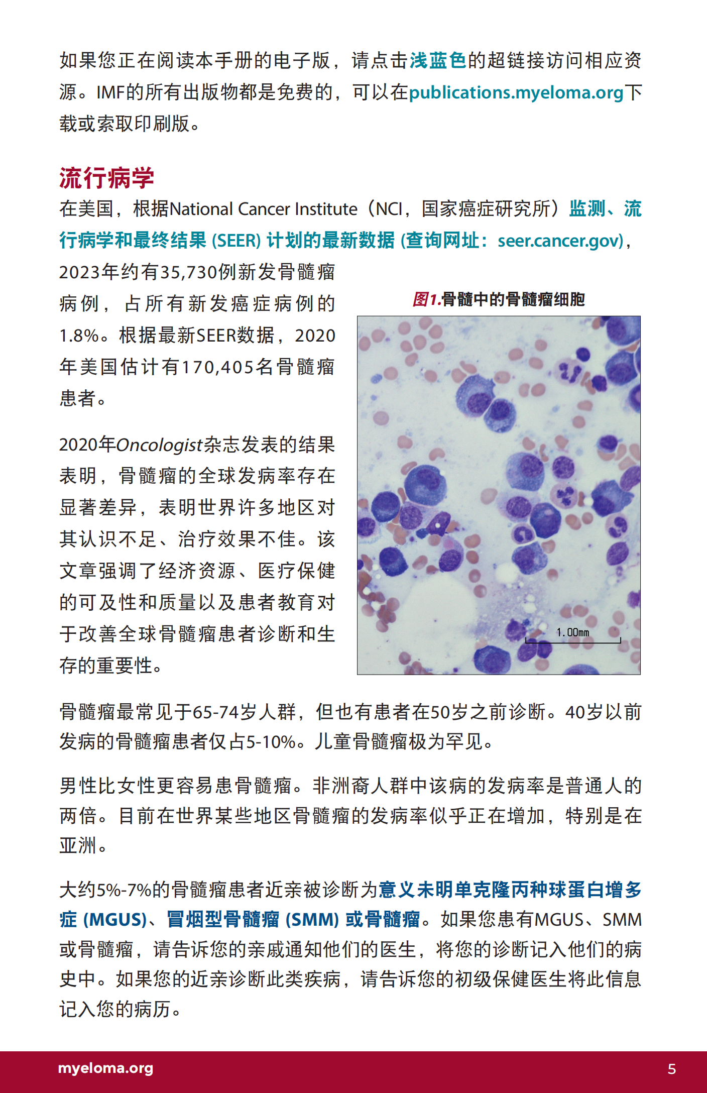 IMF 复发和难治性骨髓瘤简明综述 Chinese (PRC)_CR_EN_2023_04.png