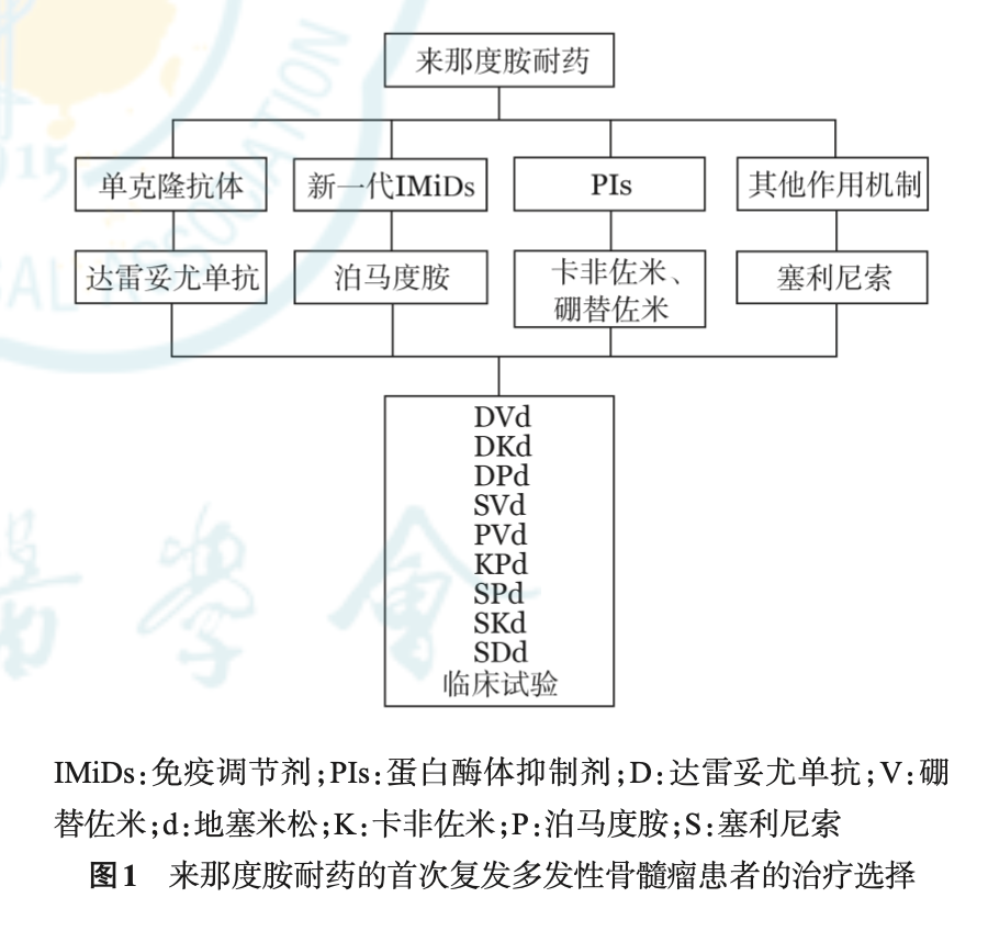 图1 来那度胺耐药.png