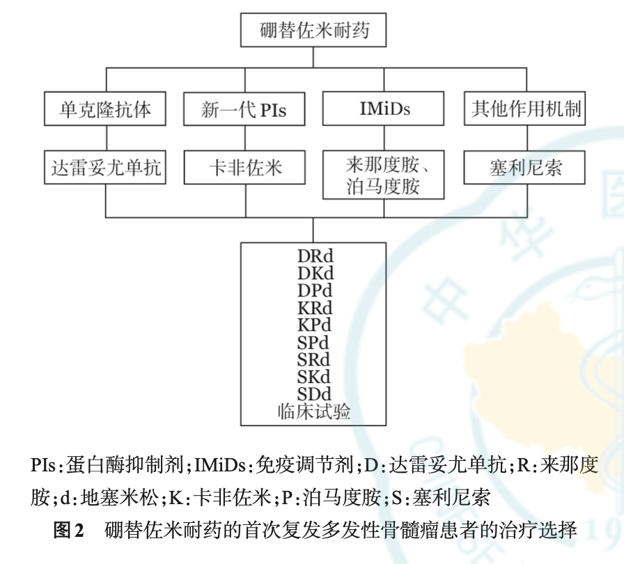 图2 硼替佐米耐药.png