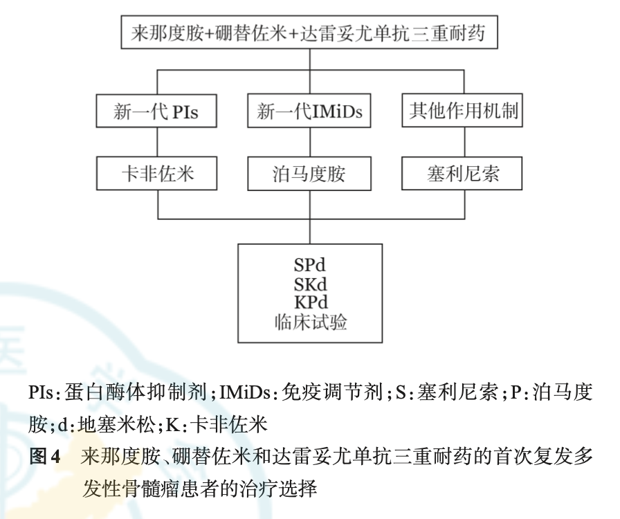 图4 来那硼替达雷三重耐药.png