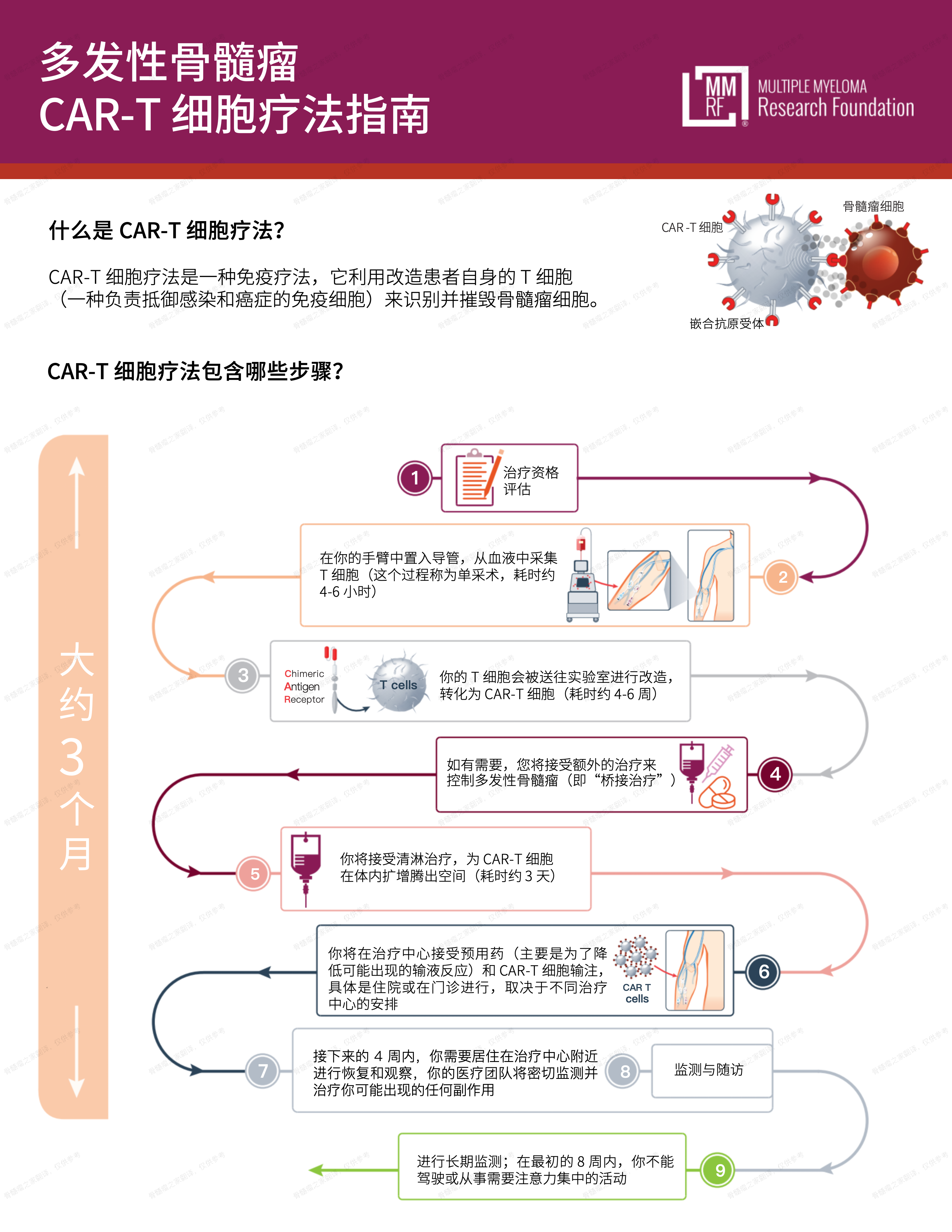 关于CAR-T治疗多发性骨髓瘤的几点小知识