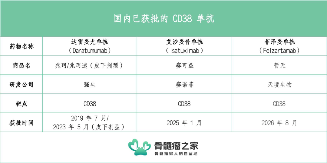 又一款CD38单抗！“菲泽妥单抗”在国内获批上市